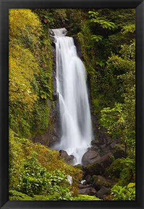 Framed Dominica, Roseau, Trafalgar Waterfalls Print