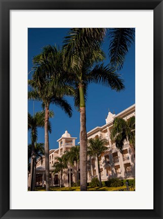 Framed Palm tree, Riu Palace, Bavaro Beach, Higuey, Punta Cana, Dominican Republic Print