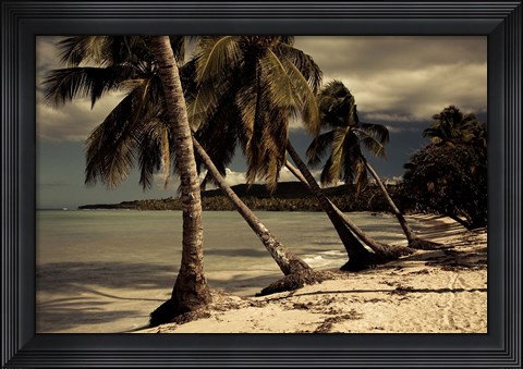 Framed Playa Rincon beach, Las Galeras, Samana Peninsula, Dominican Republic Print