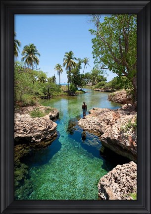 Framed Alligator Hole, Black River Town, Jamaica, Caribbean Print