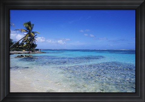 Framed Beach and Palms in Sainte Anne, Guadeloupe Print