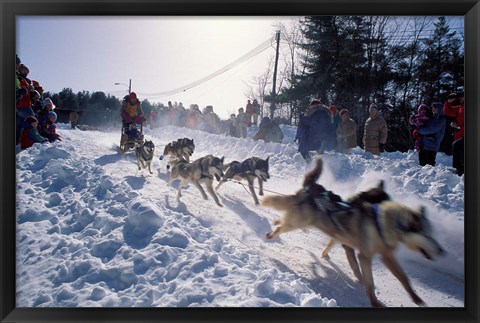 Framed Sled Dog Team Starting Their Run on Mt Chocorua, New Hampshire, USA Print