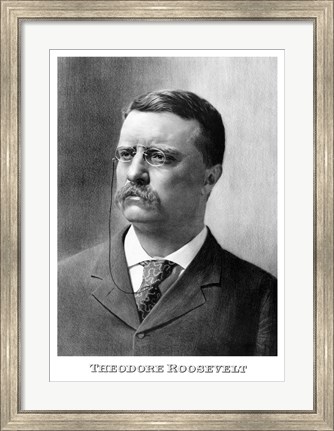 Framed Younger President Theodore Roosevelt Print