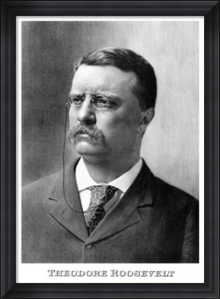 Framed Younger President Theodore Roosevelt Print