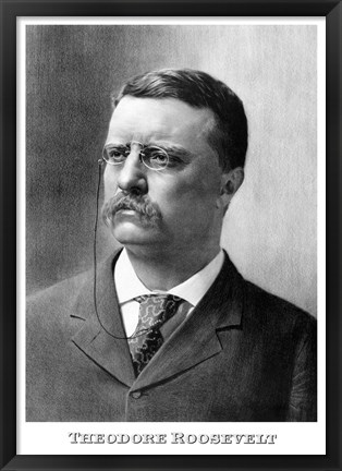 Framed Younger President Theodore Roosevelt Print