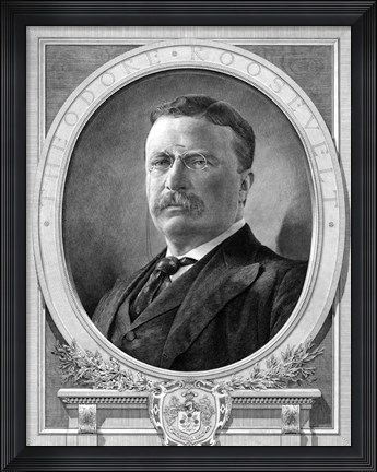 Framed President Theodore Roosevelt Print