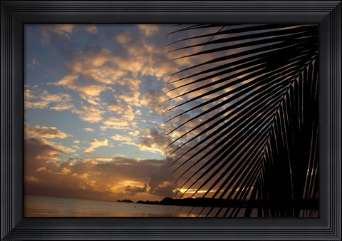 Framed USVI, StThomas, Lindergh Bay, Emerald Beach Print