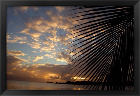 Framed USVI, StThomas, Lindergh Bay, Emerald Beach Print