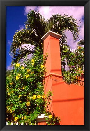 Framed Charlotte Amalie, St Thomas, Caribbean Print