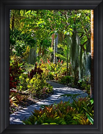 Framed Nature Trail in Charlestown on Nevis, West Indies Print