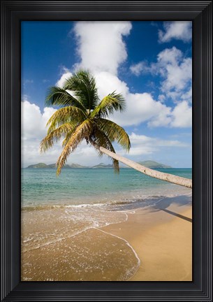 Framed Coconut Grove Beach, Cades Bay, St Kitts, Caribbean Print