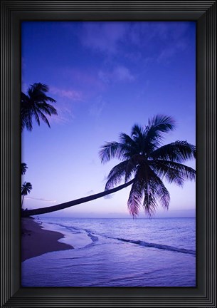 Framed Palm tree, Coconut Grove beach, Cade&#39;s Bay, Caribbean Print
