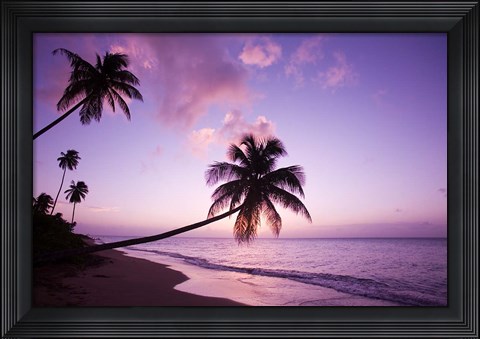 Framed Palm Trees at Sunset, Coconut Grove Beach at Cade&#39;s Bay, Nevis, Caribbean Print