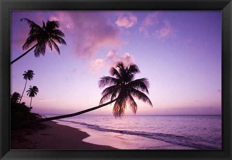 Framed Palm Trees at Sunset, Coconut Grove Beach at Cade&#39;s Bay, Nevis, Caribbean Print