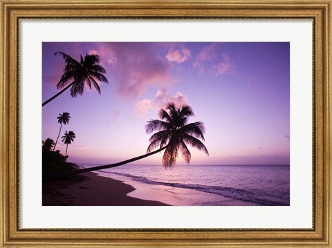Framed Palm Trees at Sunset, Coconut Grove Beach at Cade&#39;s Bay, Nevis, Caribbean Print