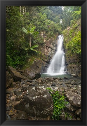 Framed Puerto Rico, El Yunque, La Mina Waterfalls Print
