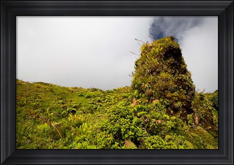 Framed Rim of Summit Crater on Mt Pelee, Martinique, French Antilles Print