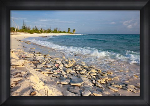 Framed Waves, Coral, Beach, Punta Arena, Mona, Puerto Rico Print