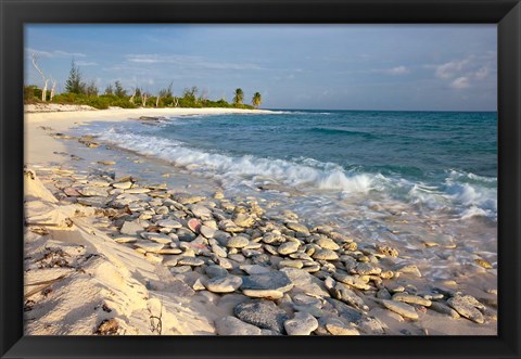 Framed Waves, Coral, Beach, Punta Arena, Mona, Puerto Rico Print