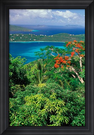Framed Magens Bay, St Thomas, Caribbean Print