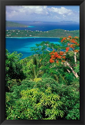 Framed Magens Bay, St Thomas, Caribbean Print