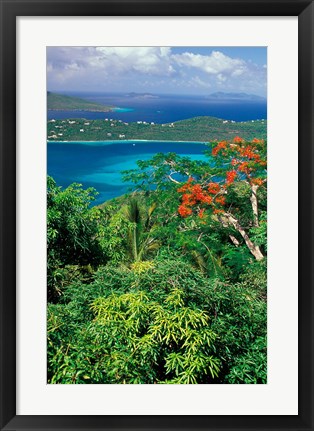 Framed Magens Bay, St Thomas, Caribbean Print