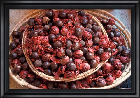 Framed Nutmeg in Public Market, Castries, Caribbean Print