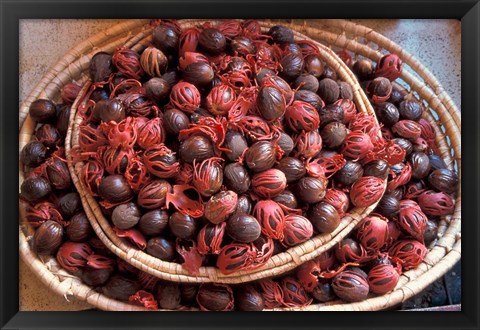 Framed Nutmeg in Public Market, Castries, Caribbean Print