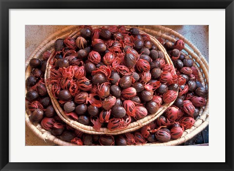 Framed Nutmeg in Public Market, Castries, Caribbean Print