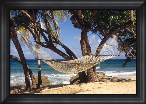 Framed Hammock tied between trees, North Shore beach, St Croix, US Virgin Islands Print