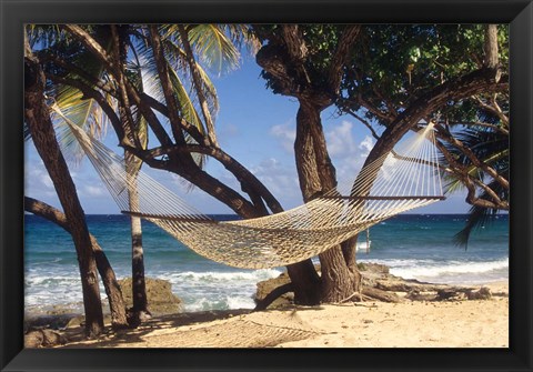 Framed Hammock tied between trees, North Shore beach, St Croix, US Virgin Islands Print