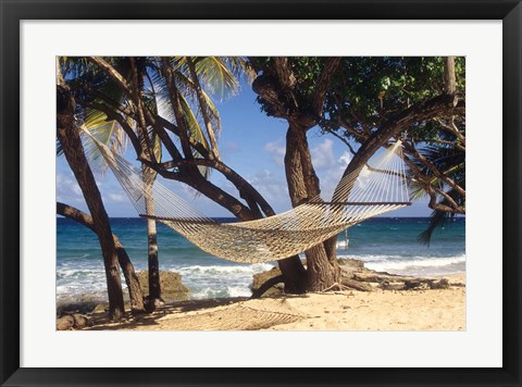 Framed Hammock tied between trees, North Shore beach, St Croix, US Virgin Islands Print