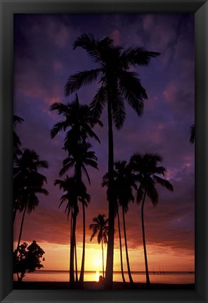 Framed Palm Trees at Sunset, Puerto Rico Print