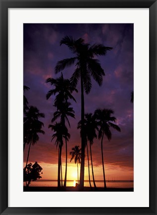 Framed Palm Trees at Sunset, Puerto Rico Print