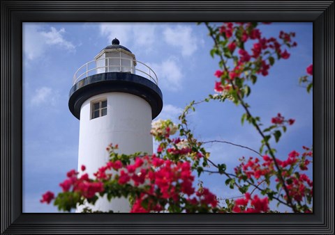 Framed Puerto Rico, Viegues Island, lighthouse of Rincon Print
