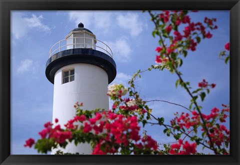 Framed Puerto Rico, Viegues Island, lighthouse of Rincon Print