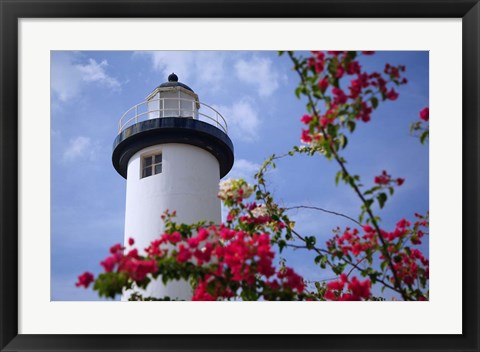 Framed Puerto Rico, Viegues Island, lighthouse of Rincon Print