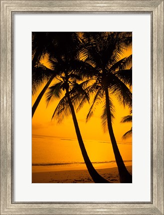 Framed Sunset and Palms, San Juan, Puerto Rico Print