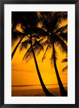 Framed Sunset and Palms, San Juan, Puerto Rico Print