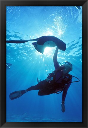 Framed Snorkeling, Stingray City, Grand Cayman, Caribbean Print