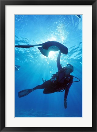 Framed Snorkeling, Stingray City, Grand Cayman, Caribbean Print