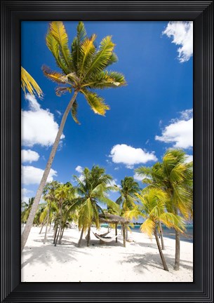 Framed Southern Cross Club, Little Cayman, Cayman Islands, Caribbean Print