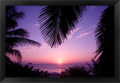 Framed Sunset, Cayman Brac, Cayman Islands, Caribbean Print