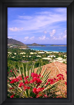 Framed Orient Bay and pink flowers, St Martin, Caribbean Print