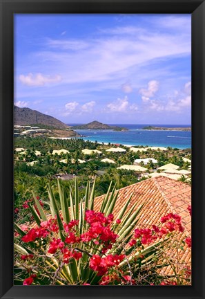 Framed Orient Bay and pink flowers, St Martin, Caribbean Print