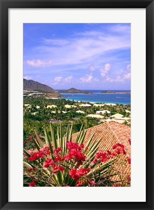 Framed Orient Bay and pink flowers, St Martin, Caribbean Print