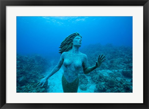 Framed Cayman Islands, Mermaid statue, coral reef Print