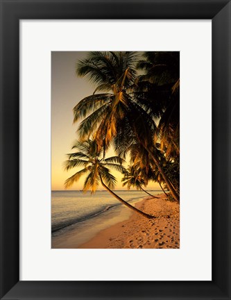 Framed Beach at Sunset, Trinidad, Caribbean Print
