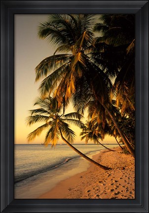 Framed Beach at Sunset, Trinidad, Caribbean Print