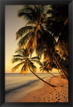 Framed Beach at Sunset, Trinidad, Caribbean Print